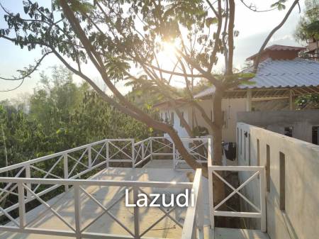 5 Houses in one area For Sale in Chiang Mai