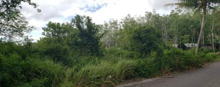 6,400 Sqm Land For Sale