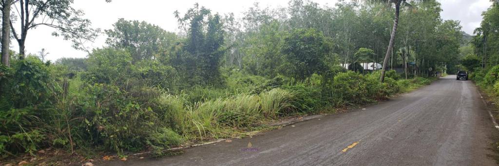 6,400 Sqm Land For Sale