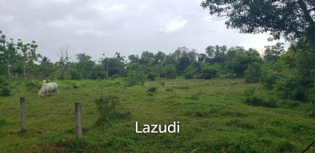 6,400 Sqm Land For Sale