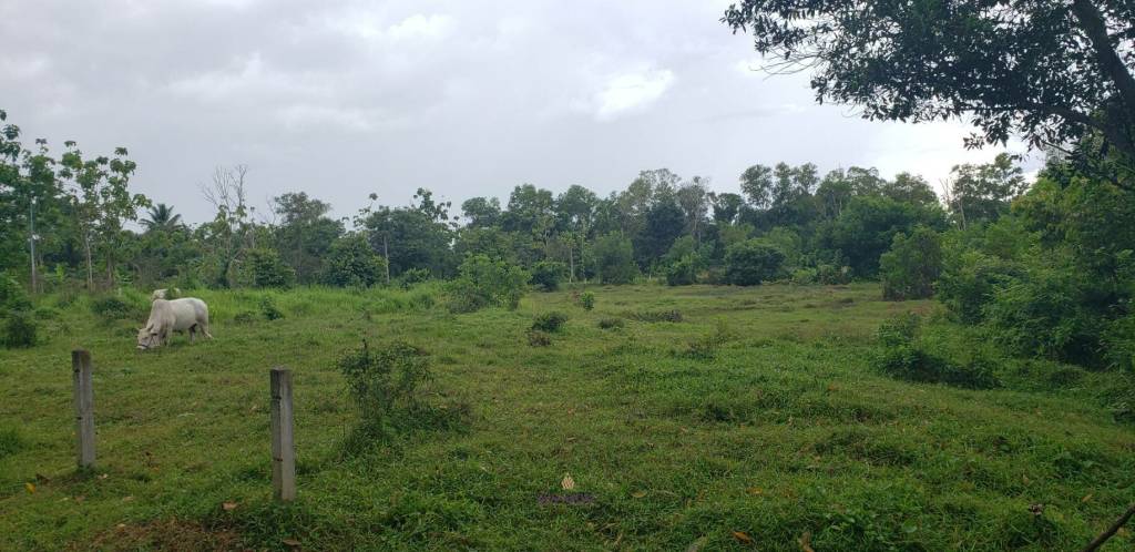 6,400 Sqm Land For Sale