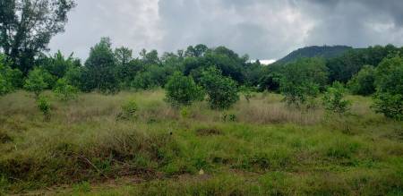 6,400 Sqm Land For Sale