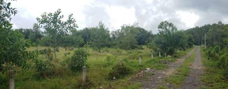 6,400 Sqm Land For Sale