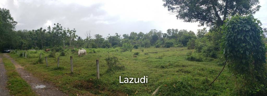 6,400 Sqm Land For Sale