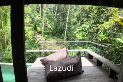 Brand new River Valley view development in Ubud