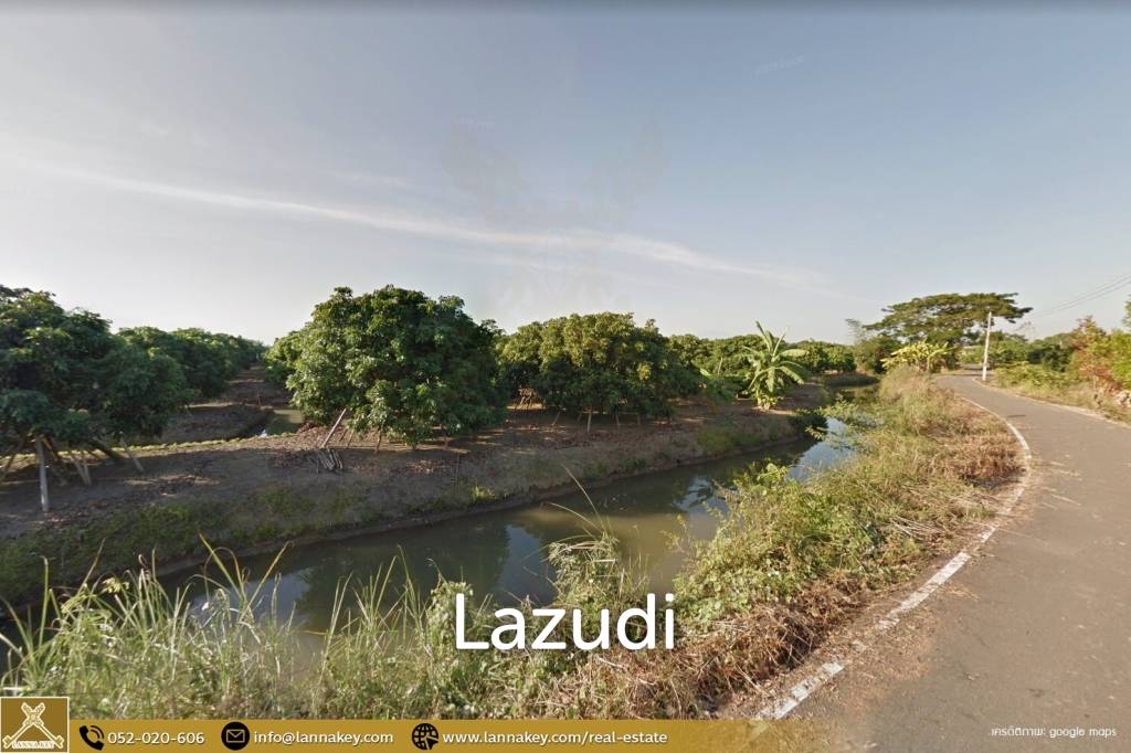 Longan Garden Land, 16 rai at Hang Dong, Chiang Mai.