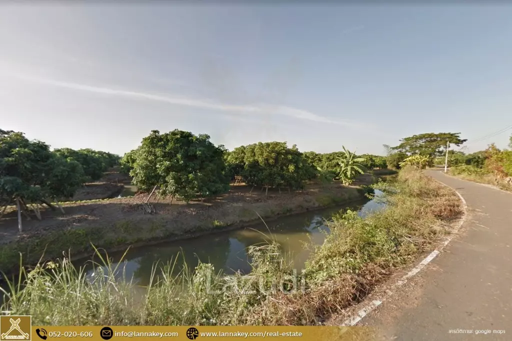 Longan Garden Land, 16 rai at Hang Dong, Chiang Mai.
