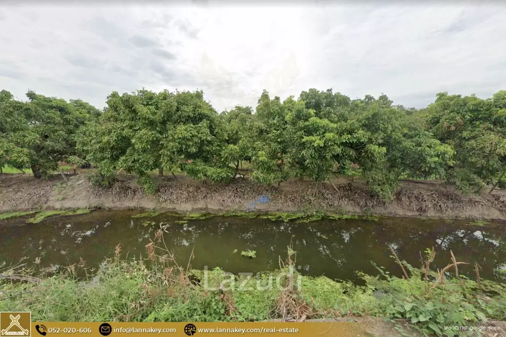 Longan Garden Land, 16 rai at Hang Dong, Chiang Mai.