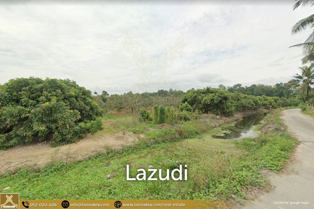 Longan Garden Land, 16 rai at Hang Dong, Chiang Mai.