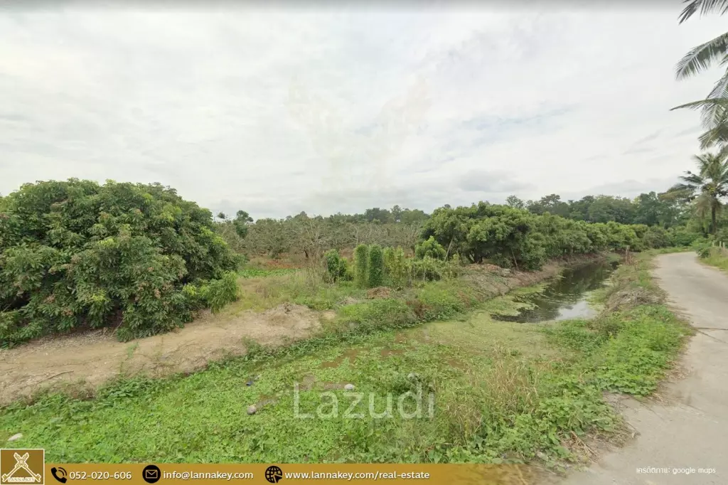 Longan Garden Land, 16 rai at Hang Dong, Chiang Mai.