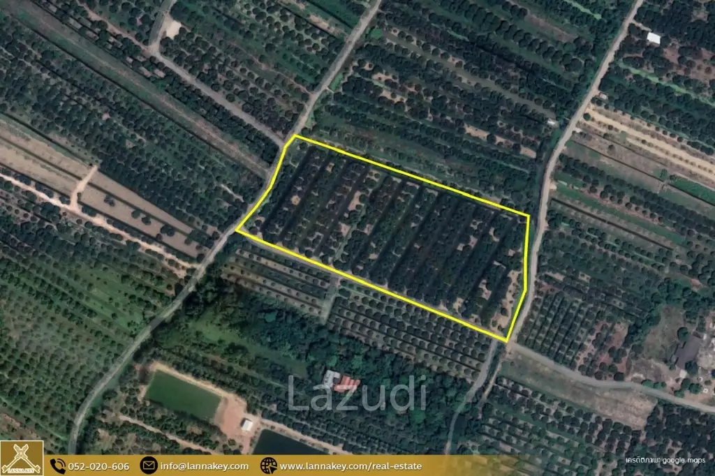 Longan Garden Land, 16 rai at Hang Dong, Chiang Mai.