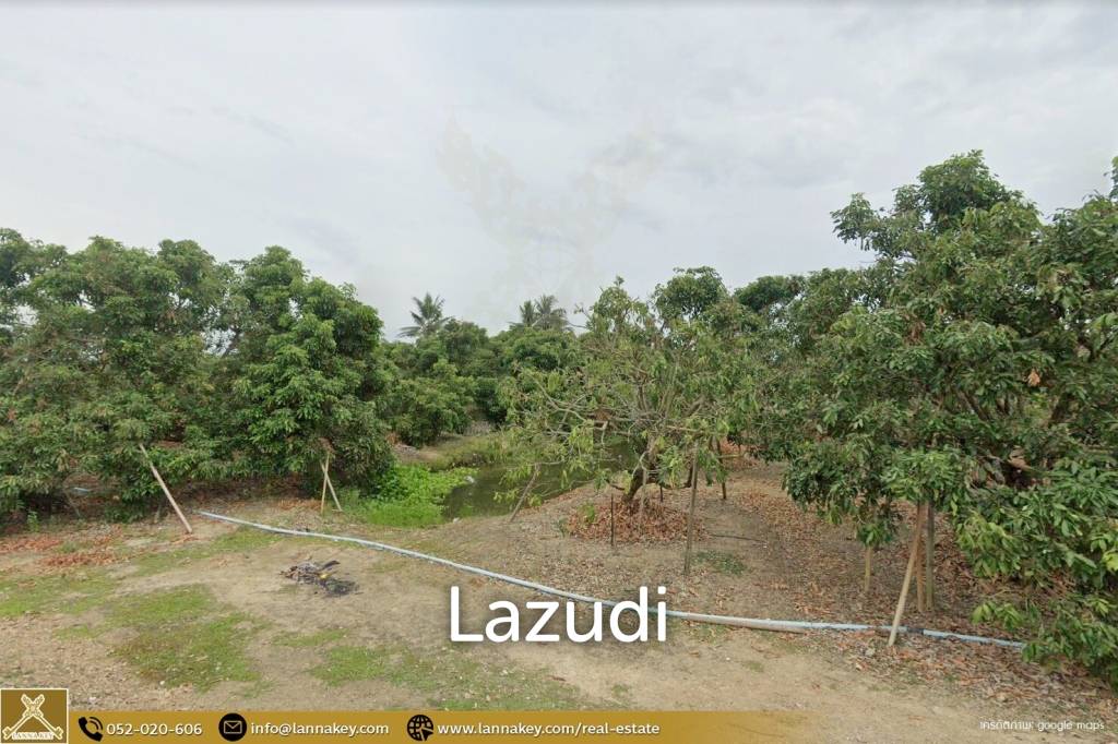 Longan Garden Land, 16 rai at Hang Dong, Chiang Mai.
