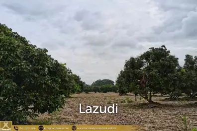 Land for Sale 7 rai in Mae Suai, Chiang Rai