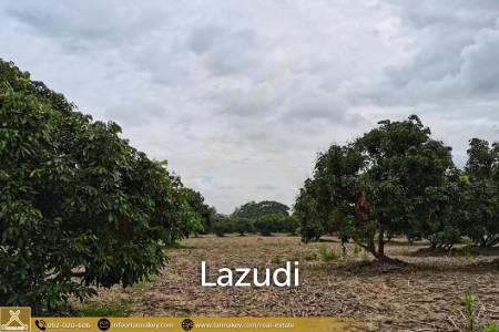 Land for Sale 7 rai in Mae Suai, Chiang Rai