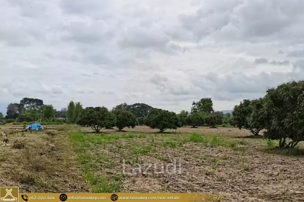 Land for Sale 7 rai in Mae Suai, Chiang Rai