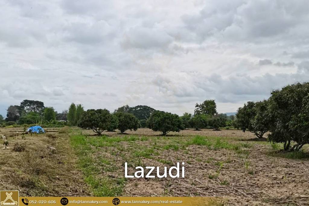 Land for Sale 7 rai in Mae Suai, Chiang Rai