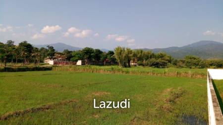 UNIQUE OPPORTUNITY, PRIME LAND FOR SALE IN MAE RIM