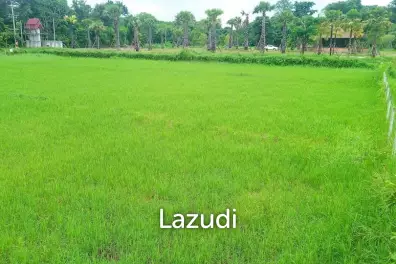 UNIQUE OPPORTUNITY, PRIME LAND FOR SALE IN MAE RIM