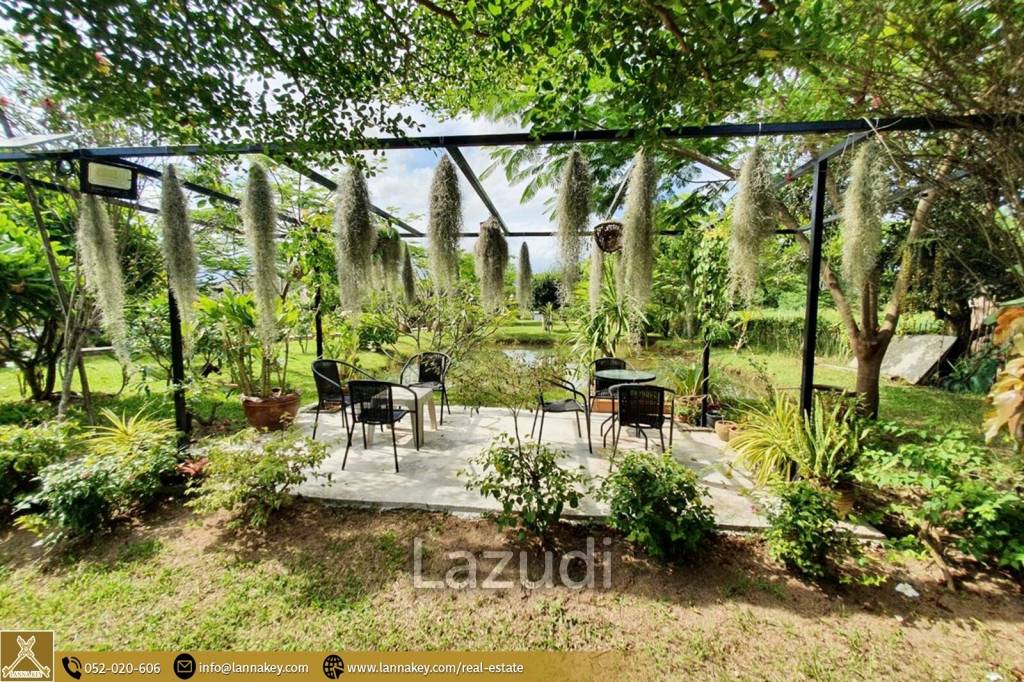 2 Rai House and Homestay for Sale in Huay Sak