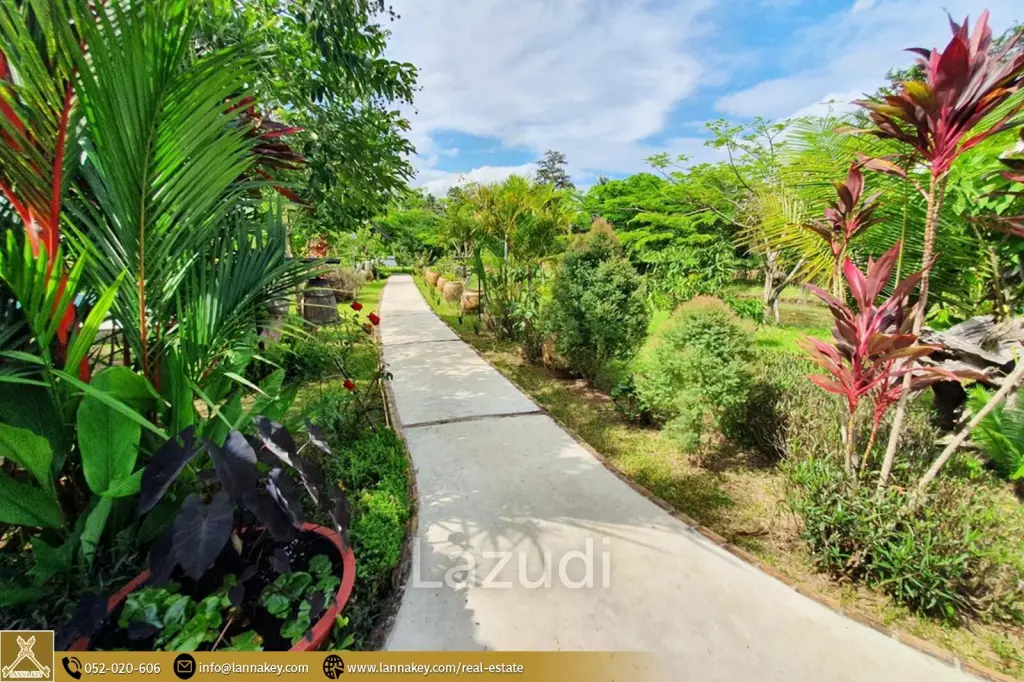 2 Rai House and Homestay for Sale in Huay Sak