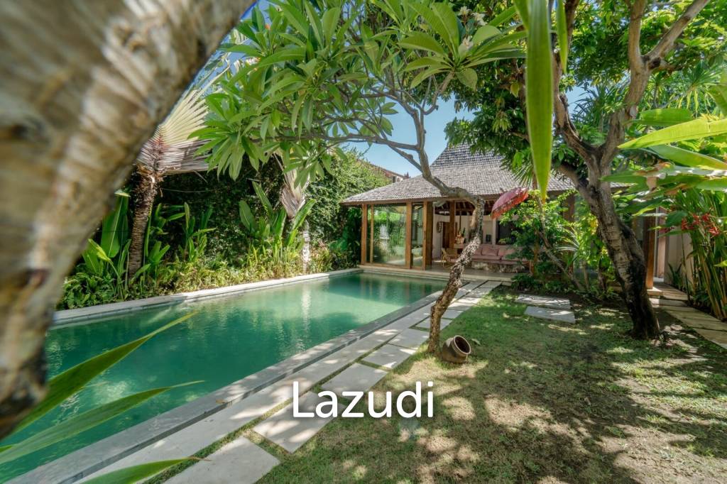 Villa in Drupadi - Seminyak