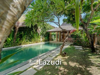 Villa in Drupadi - Seminyak