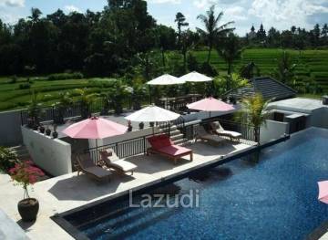 Great Freehold Investment Villa complex in Canggu Bali