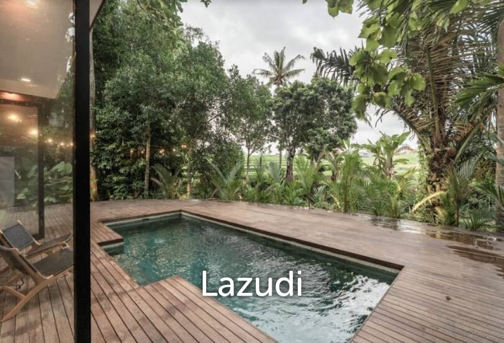 Unique Investment in the heart of Pererenan Badung Bali
