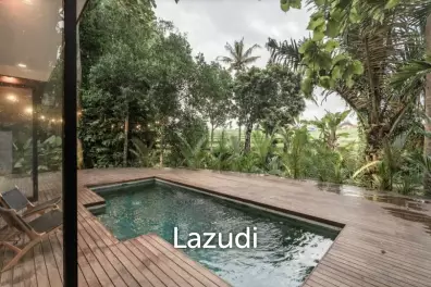Unique Investment in the heart of Pererenan Badung Bali