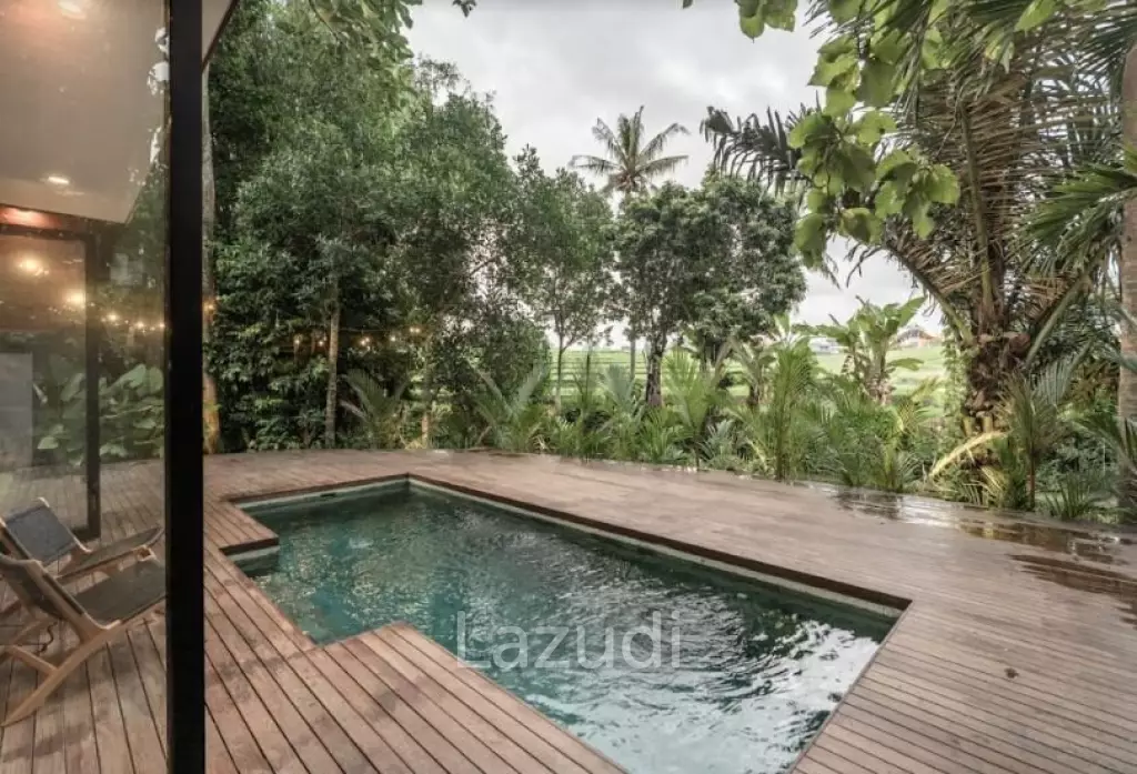 Unique Investment in the heart of Pererenan Badung Bali