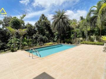 Spacious 4 beds villa with jungle view.
