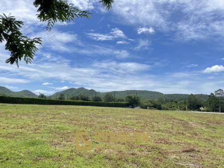 Beautiful Land for Sale Near Black Mountain Golf Course