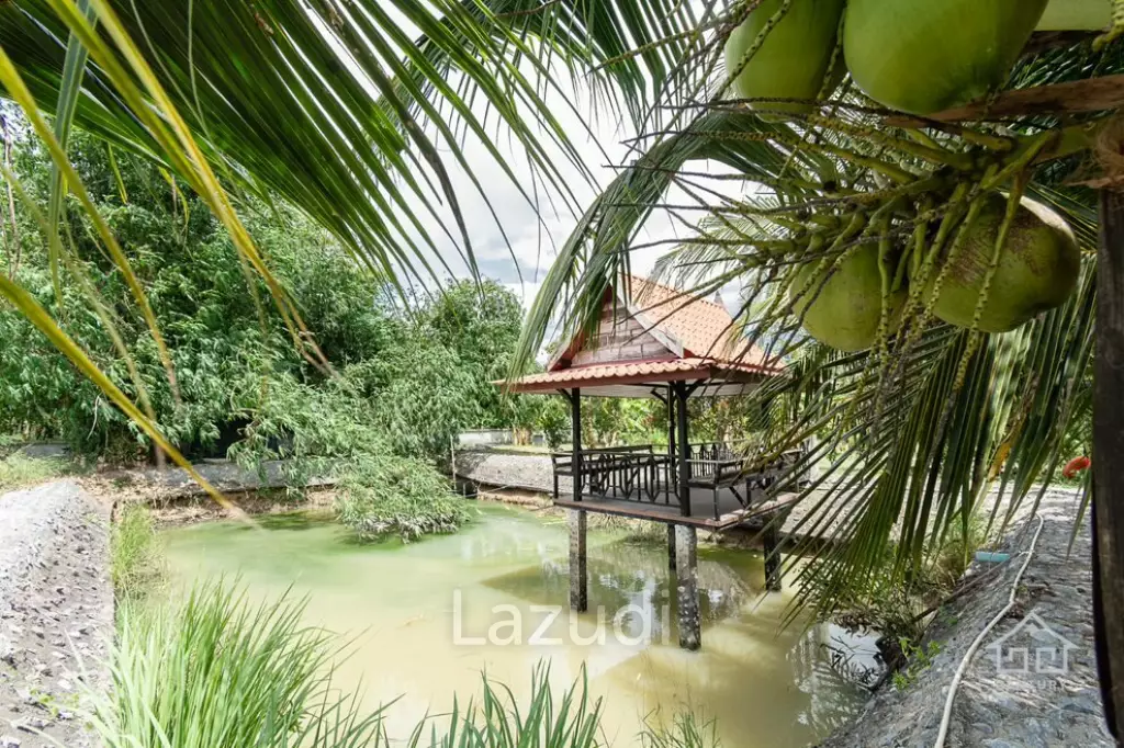 3  Rai land 3 Bedrooms with guest house