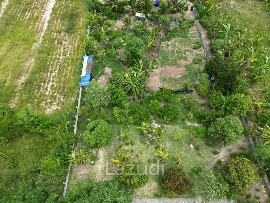 3  Rai land 3 Bedrooms with guest house