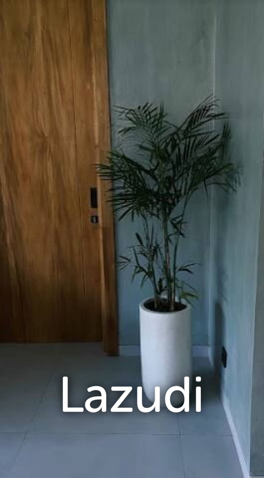 Brand new Smart home Investment villas in Berawa Badung Bali