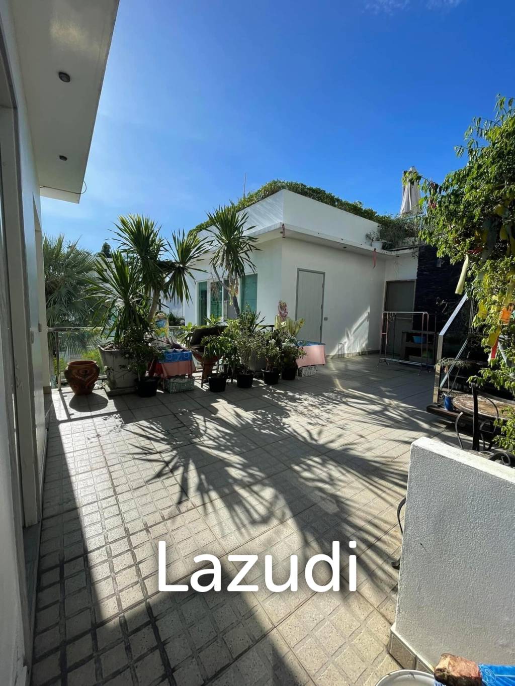 Palm Oasis Villa for Sale