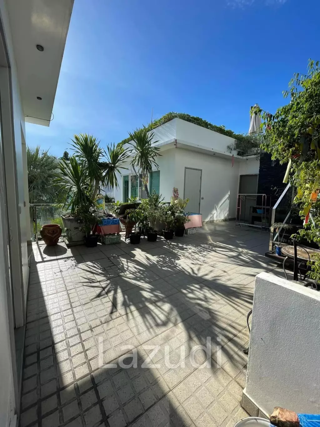 Palm Oasis Villa for Sale