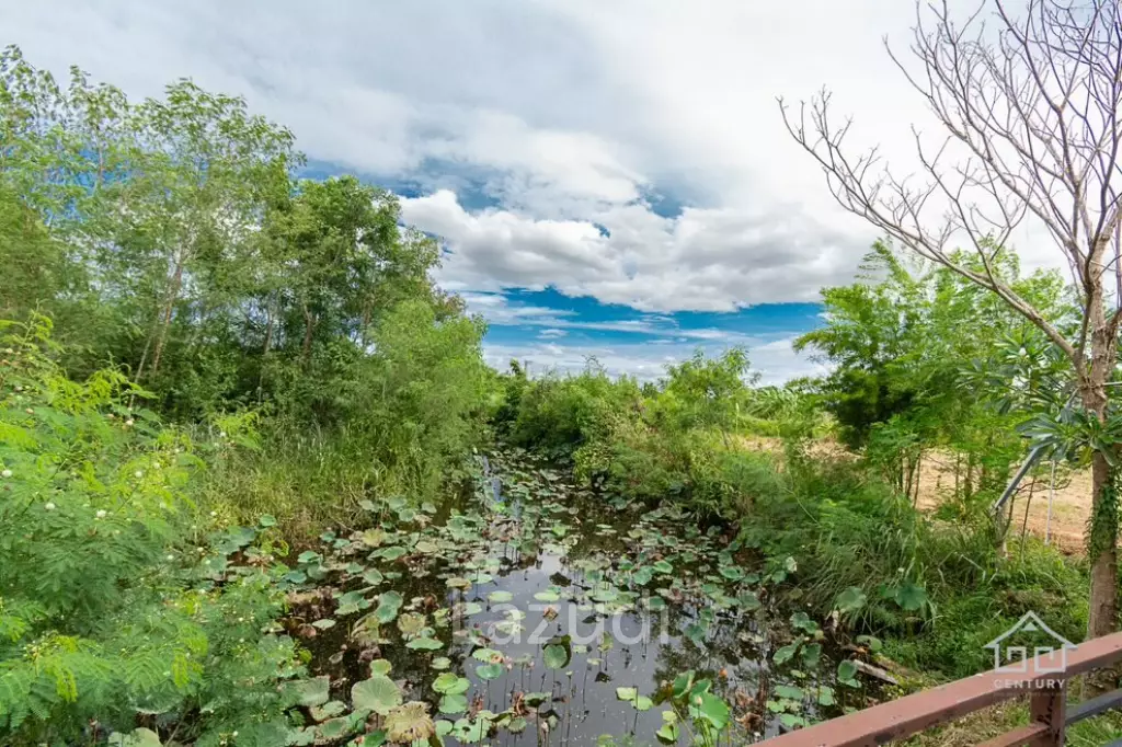 Great  Value 9 Bed Pool Villa with large land plot