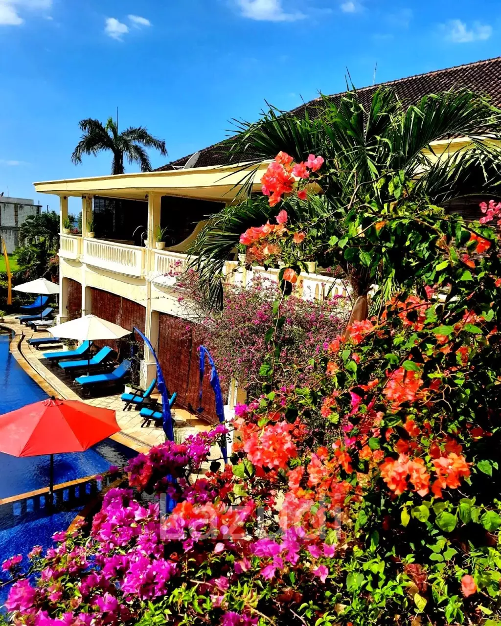 Hotel for sale in Lovina Buleleng Bali