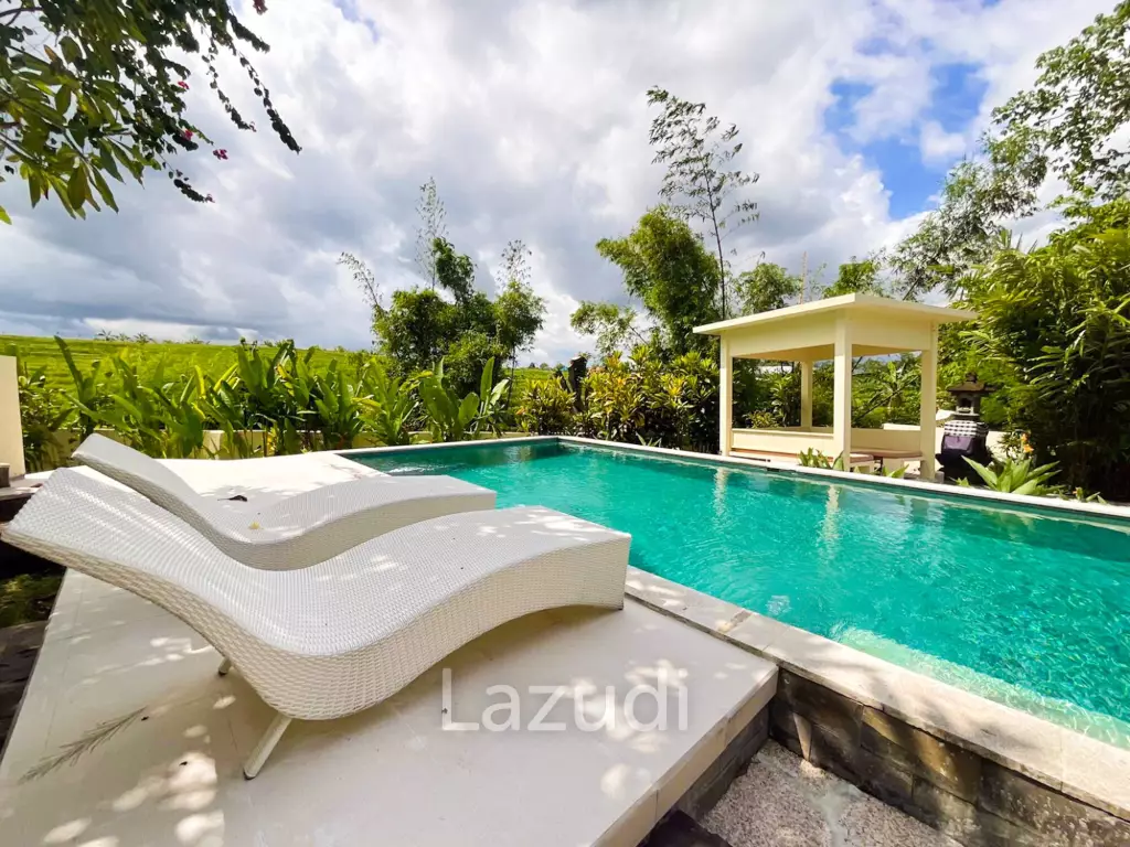 Newly Renovated 4 Bedroom Villa with Amazing Rice Field Views