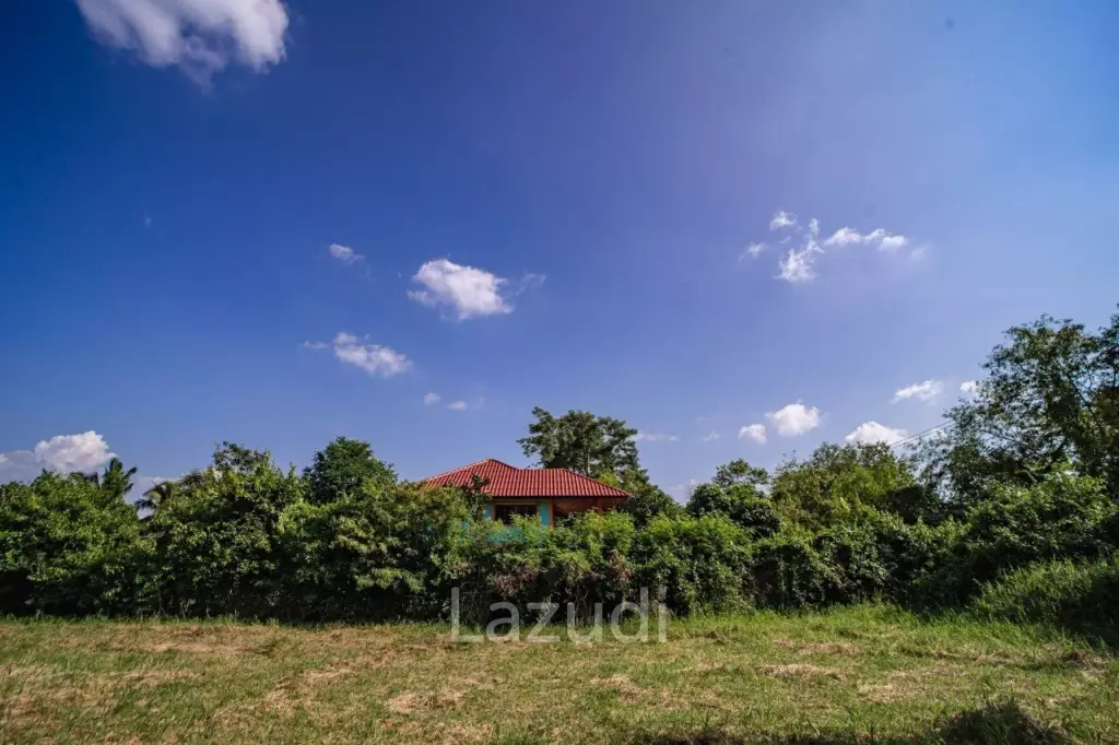Land for Sale at Ratchaphruek rd. with Doi Kham view