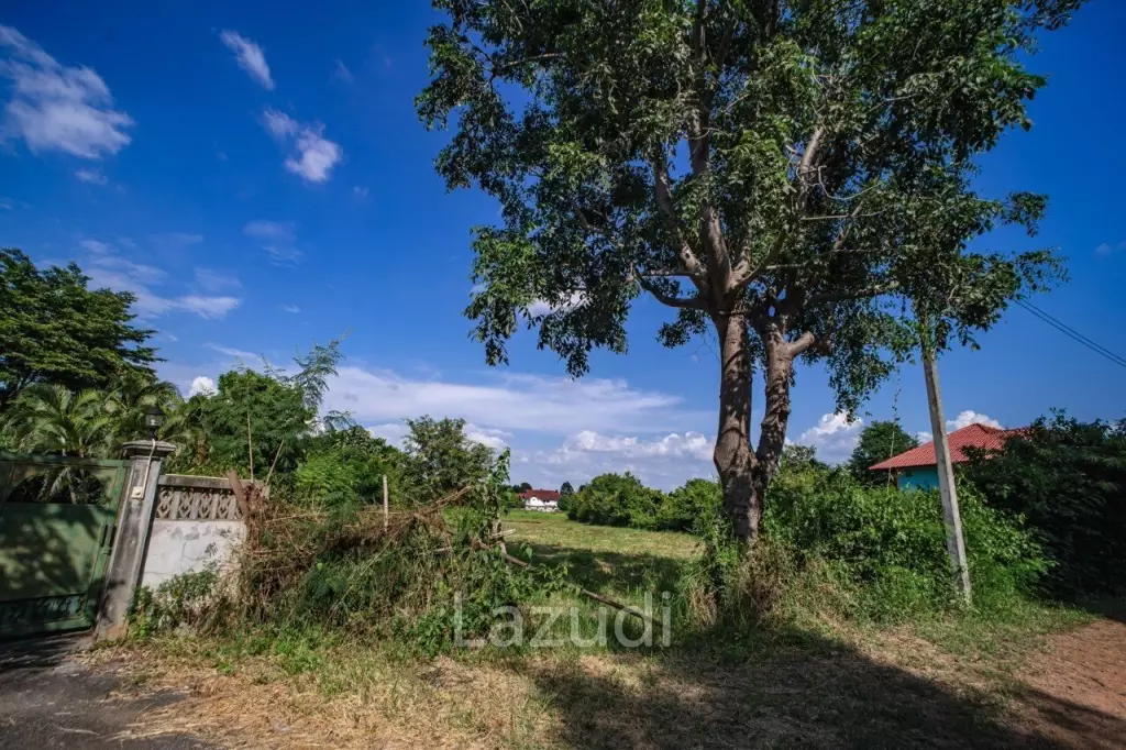 Land for Sale at Ratchaphruek rd. with Doi Kham view