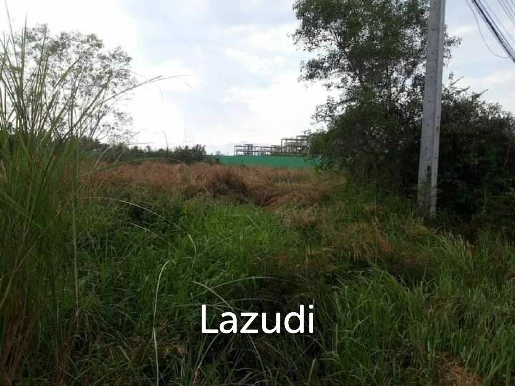 1 Rai Land For Sale in Pattaya