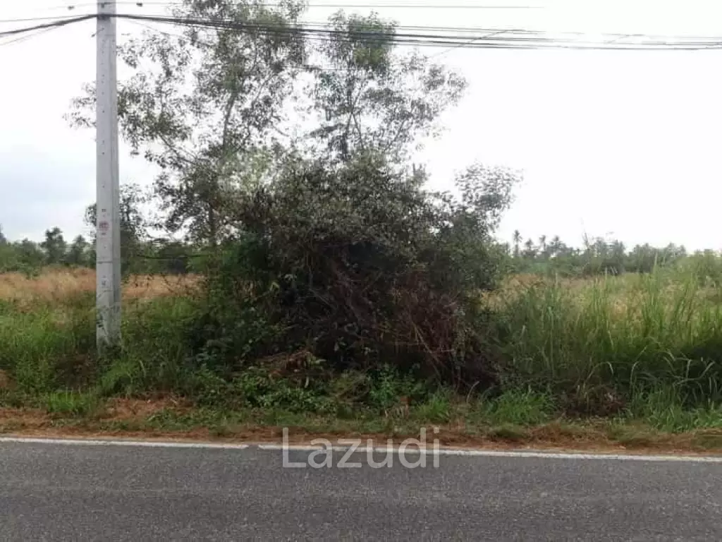 1 Rai Land For Sale in Pattaya