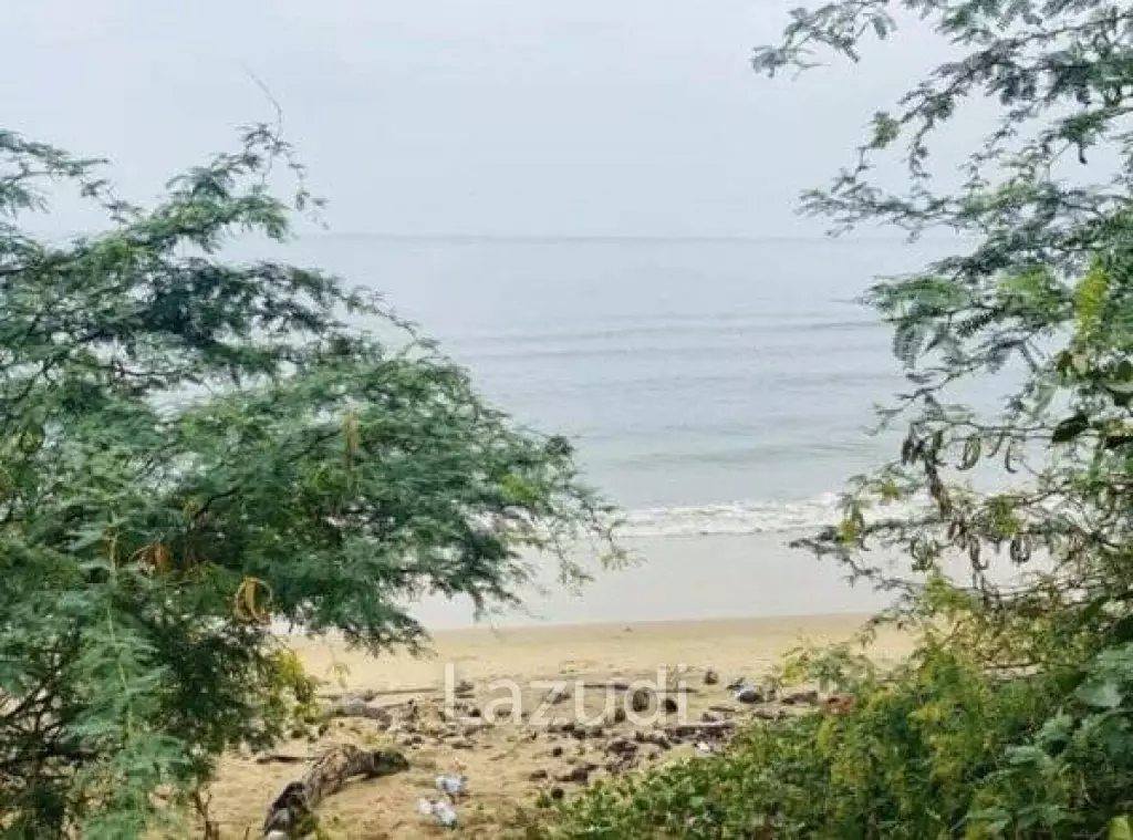 Absolute Beachfront land Plot in Kao Kalok