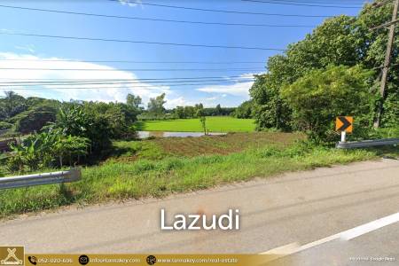 Good Location 23 Rai Land for Sale in Chiang Saen