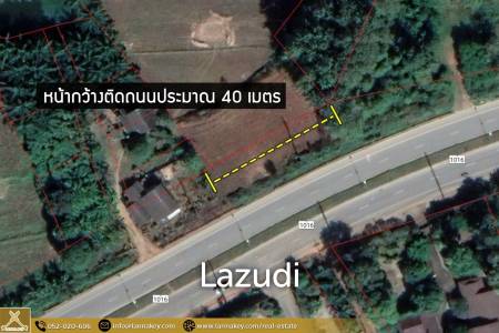 Good Location 23 Rai Land for Sale in Chiang Saen