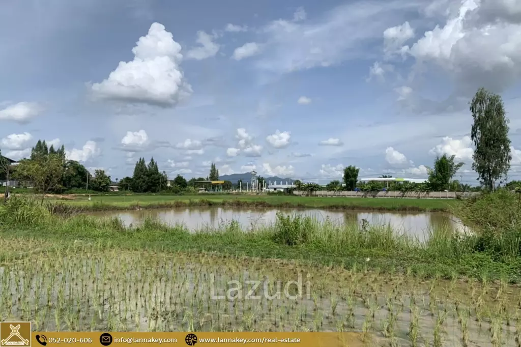 5 Rai Land for Sale in Thoeng, Chiang Rai