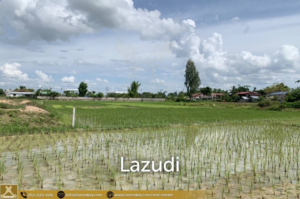 5 Rai Land for Sale in Thoeng, Chiang Rai