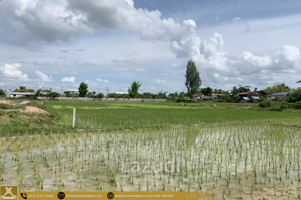 5 Rai Land for Sale in Thoeng, Chiang Rai